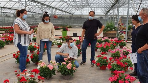 La force de vente de Syngenta Flowers pour la Normandie, les Pays de la Loire, la Bretagne, le Centre et l’Aquitaine préparait son événement 2021 autour du pôle Calliope. ©Syngenta Flowers